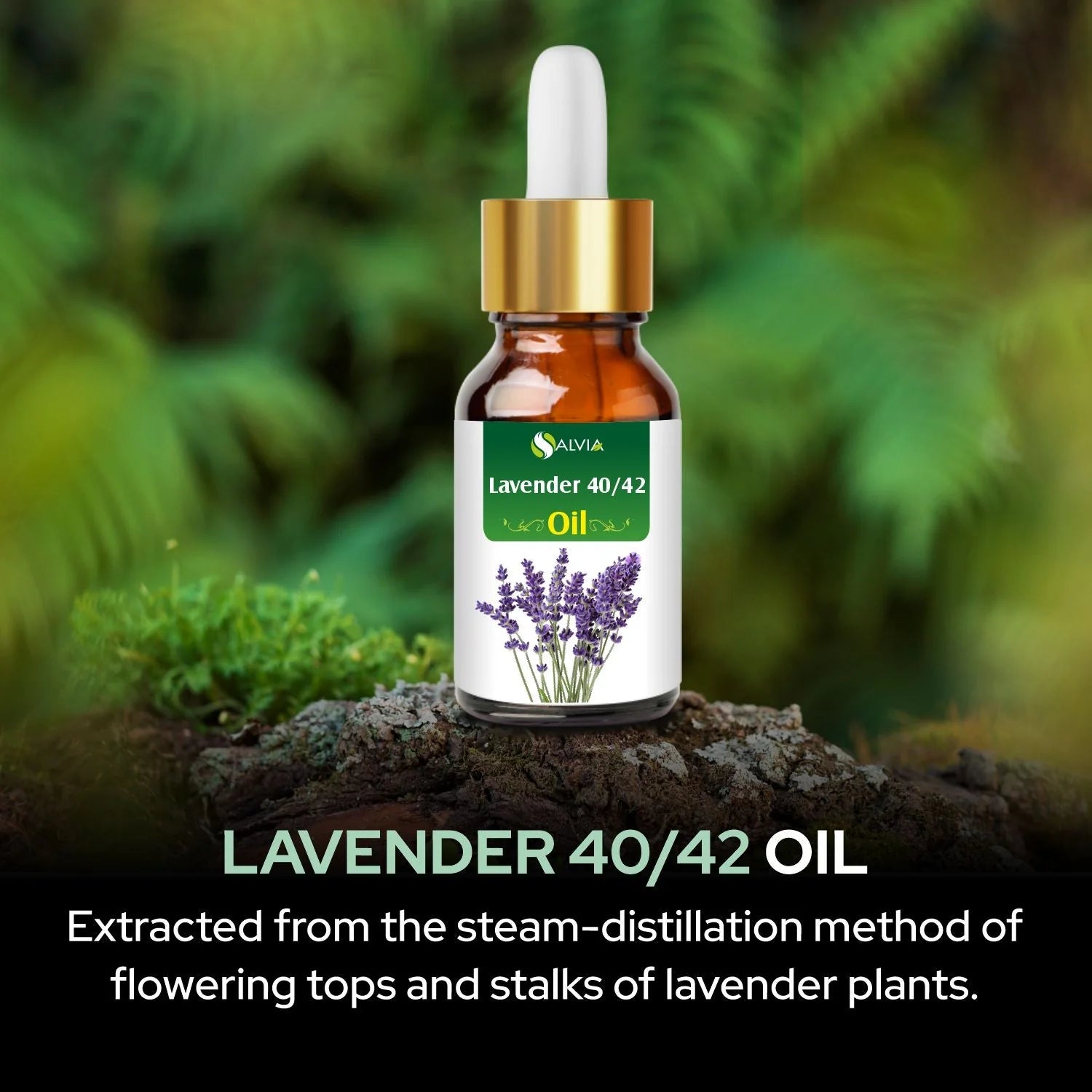 Lavender 40/42 Essential Oil