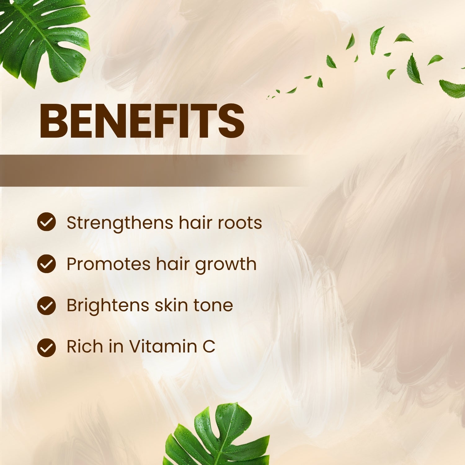 Amla Powder