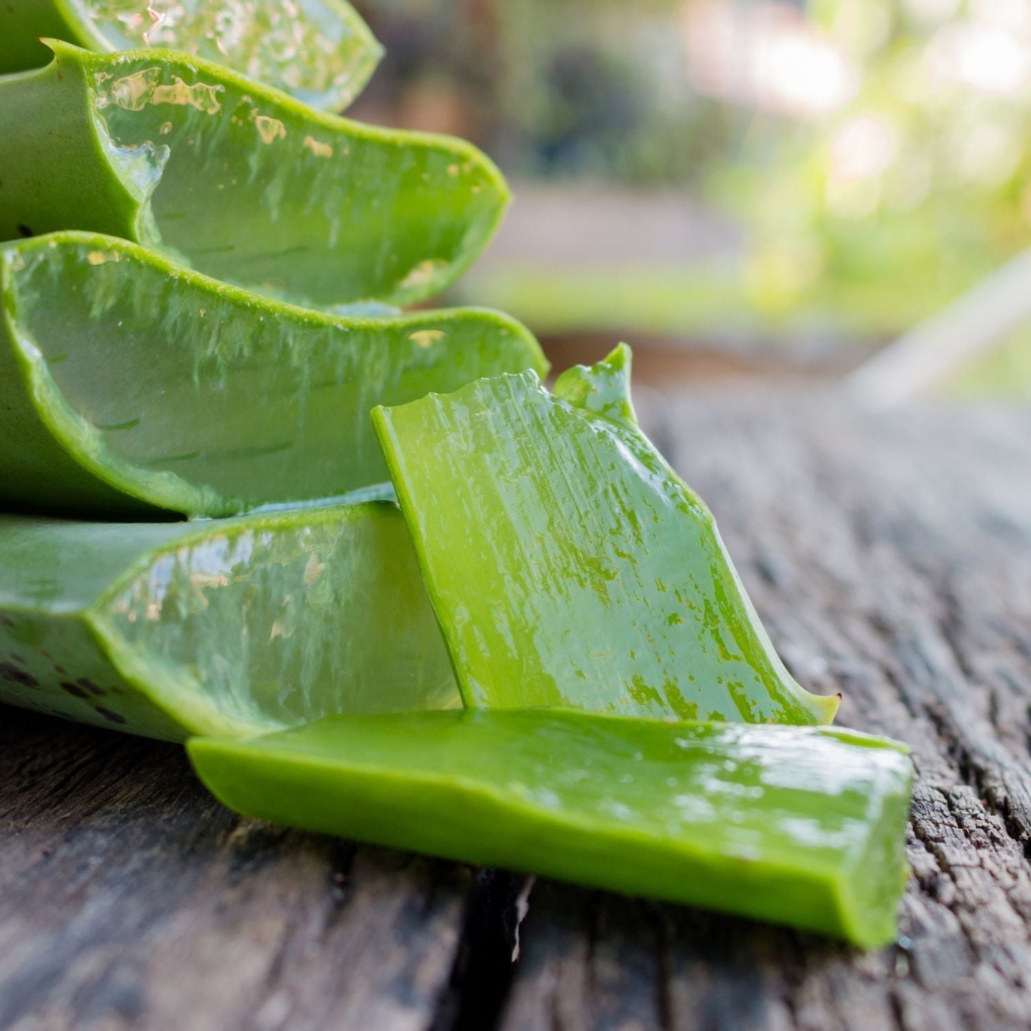 Aloe Vera Gel