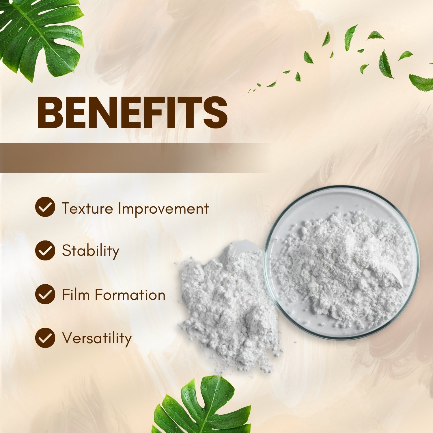 Acrylate Copolymer Powder