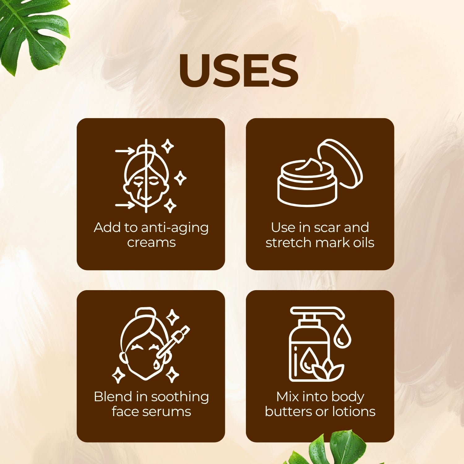 Gotu Kola Herbal Liquid Extract