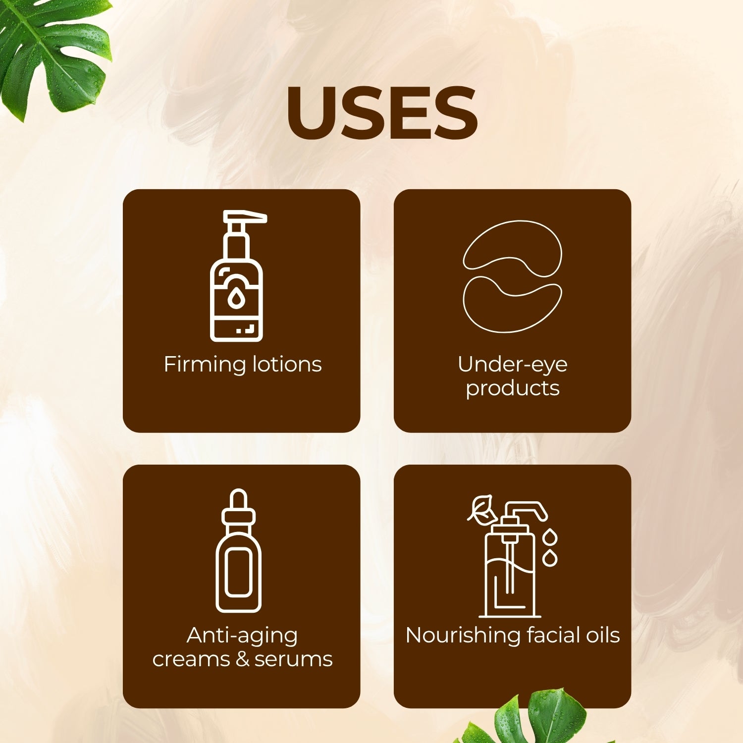 Chicory Herbal Liquid Extract