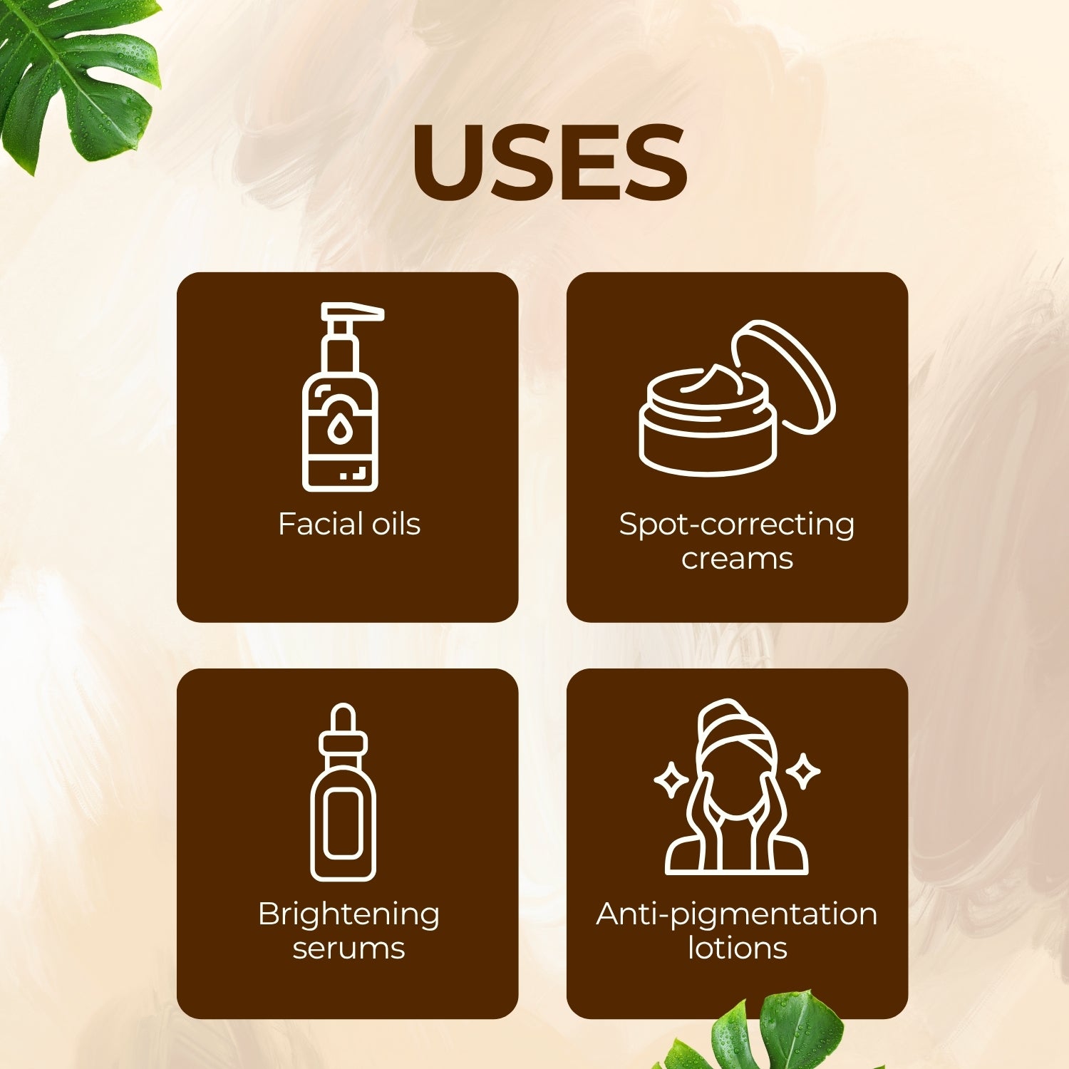 Daisy Flower Herbal Liquid Extract