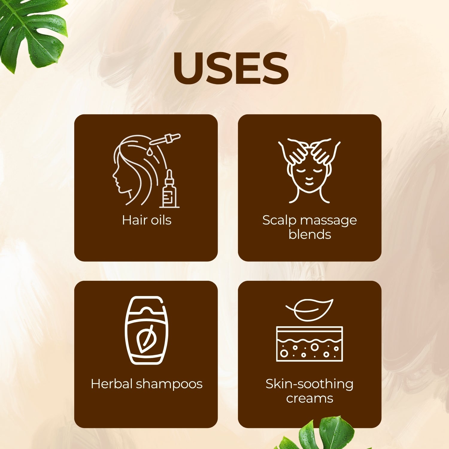 Bacopa Monneri Herbal Liquid Extract