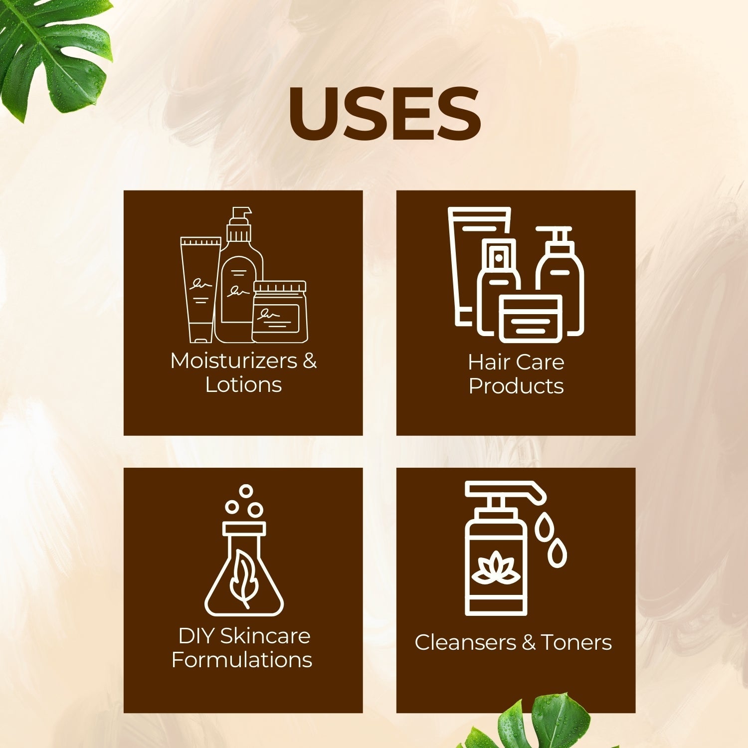 Licorice Extract