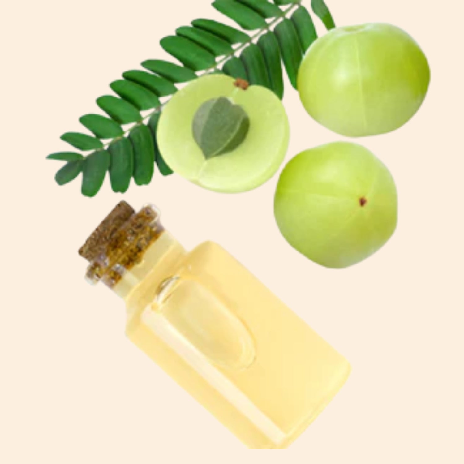 Amla Herbal liquid Extract
