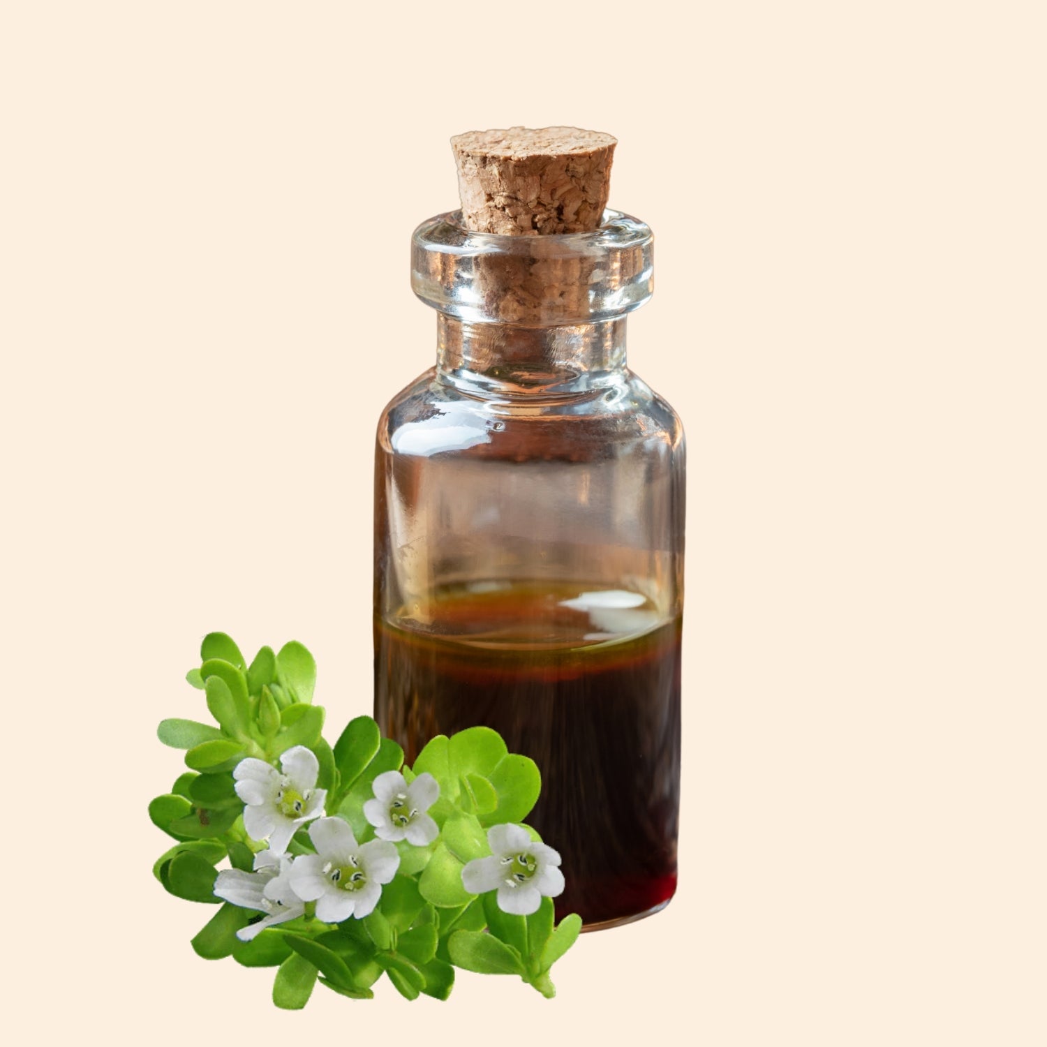 Bacopa Monneri Herbal Liquid Extract