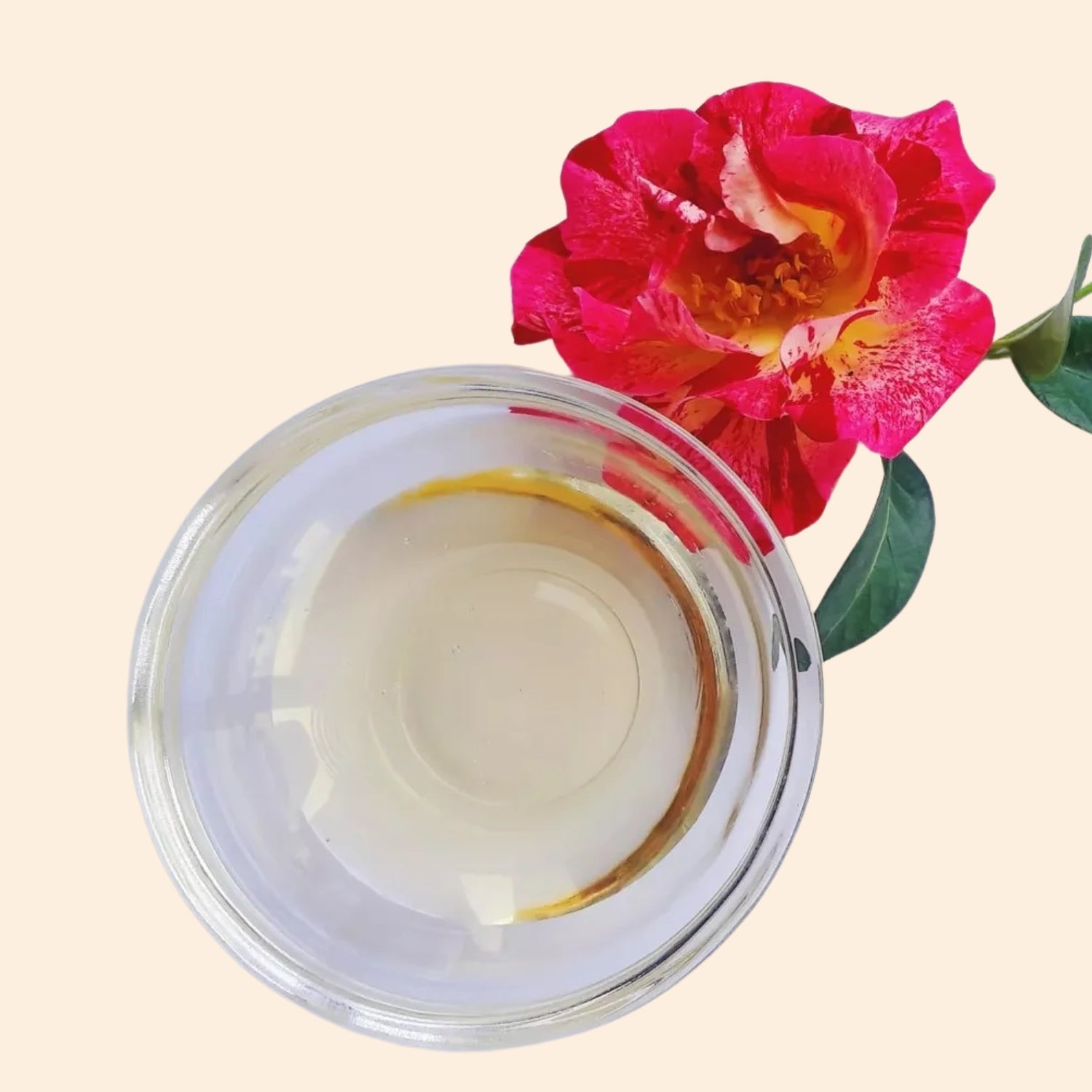 Camellia Hydrosol