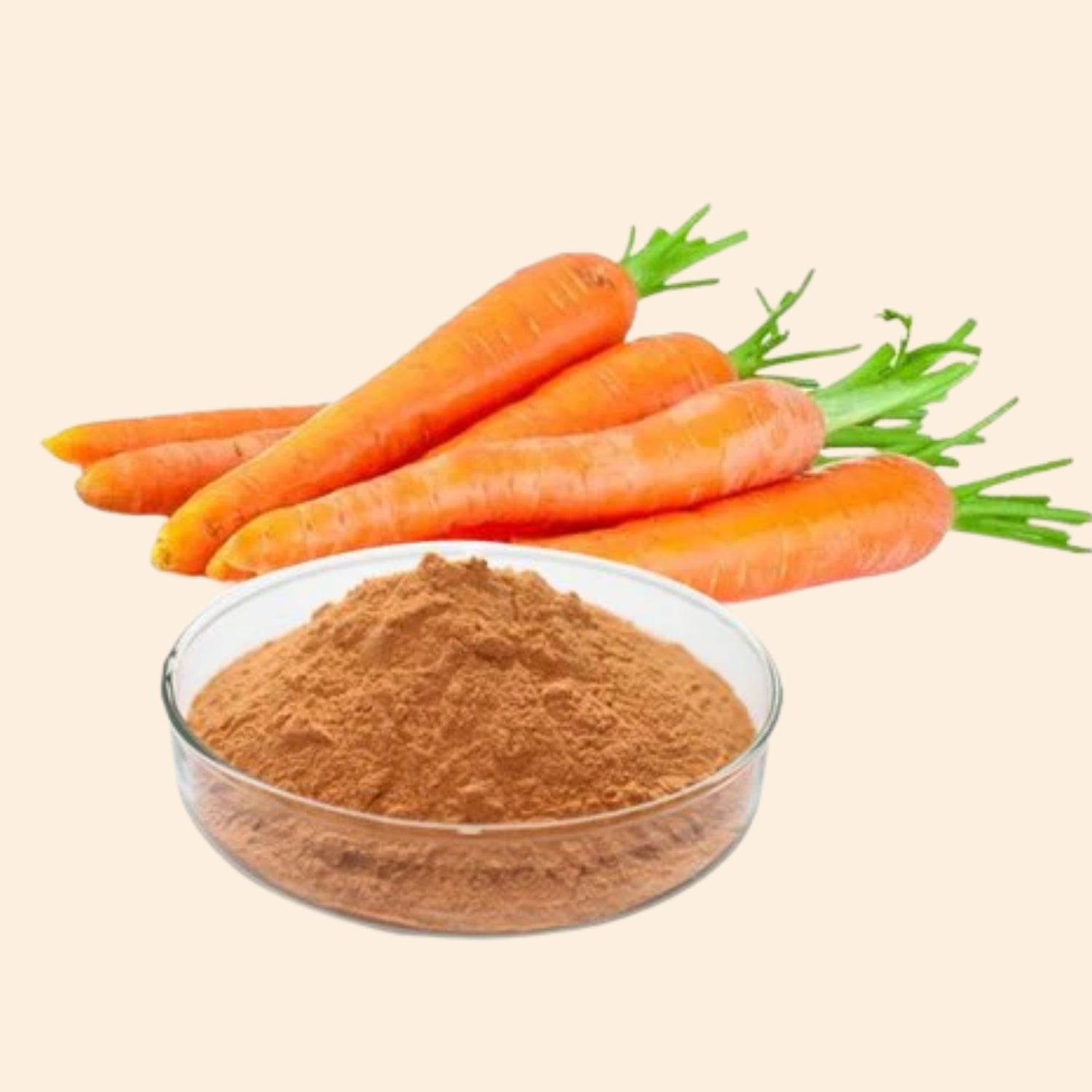 Carrot Powder