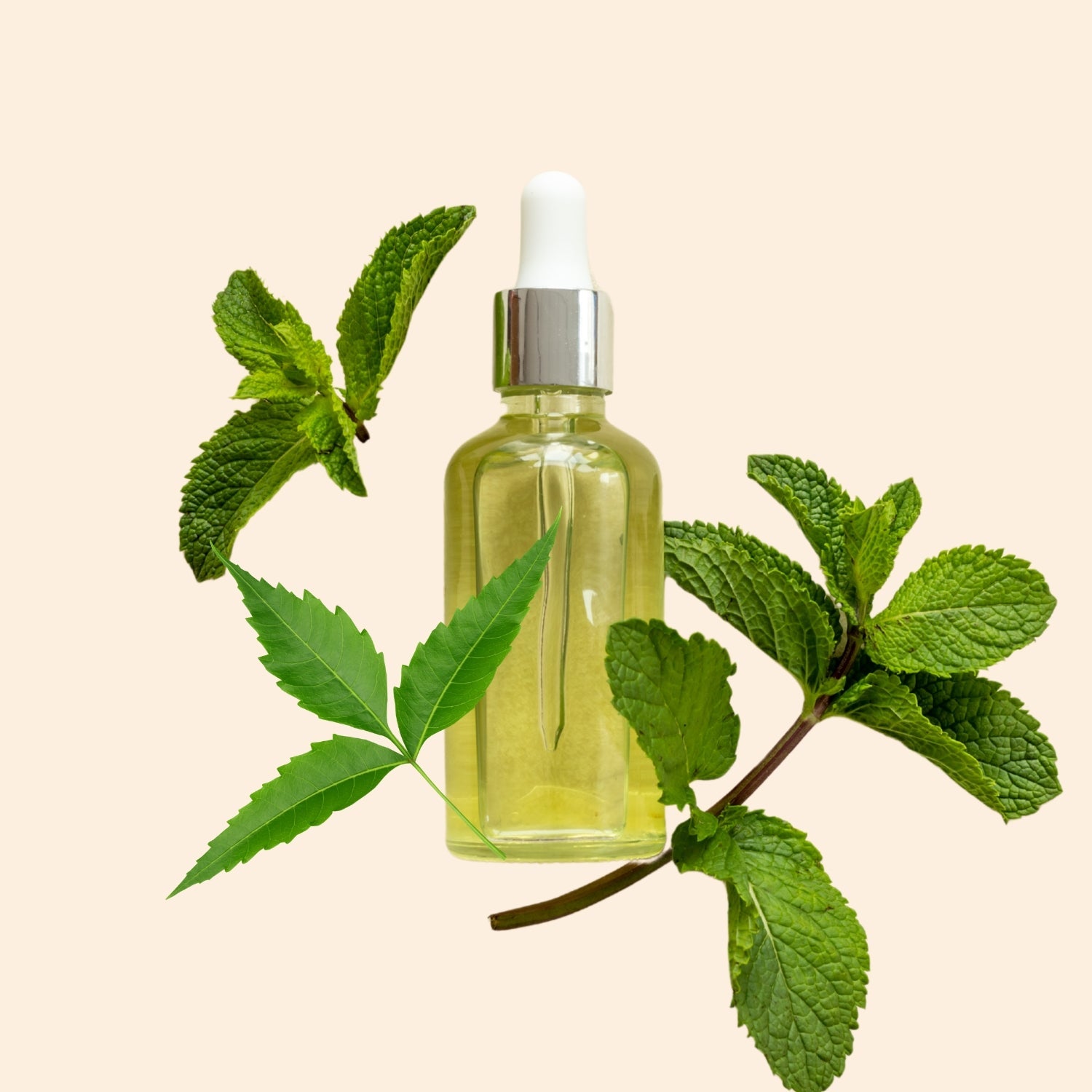 Peppermint & Neem Massage Oil