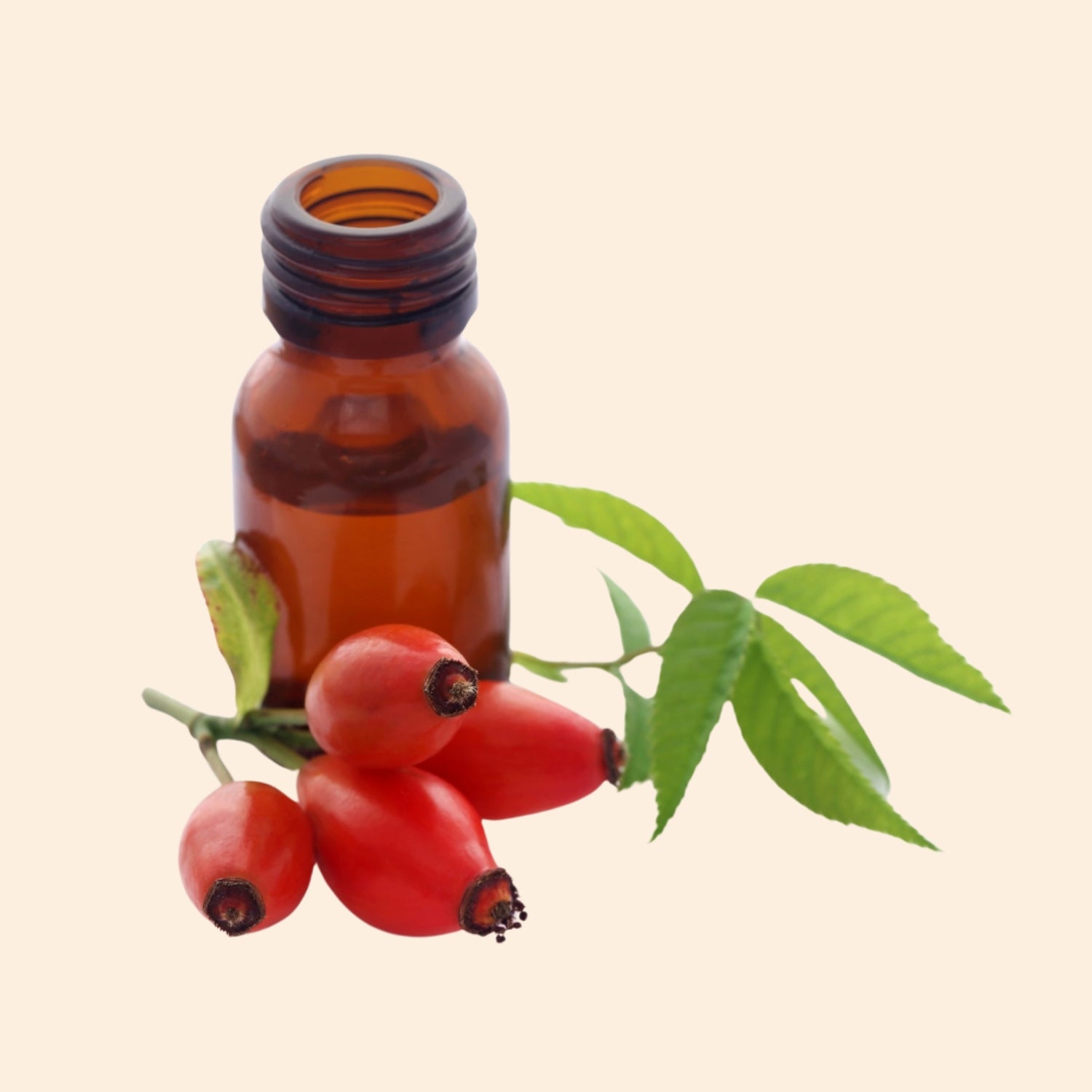 Rosehip Herbal Liquid Extract