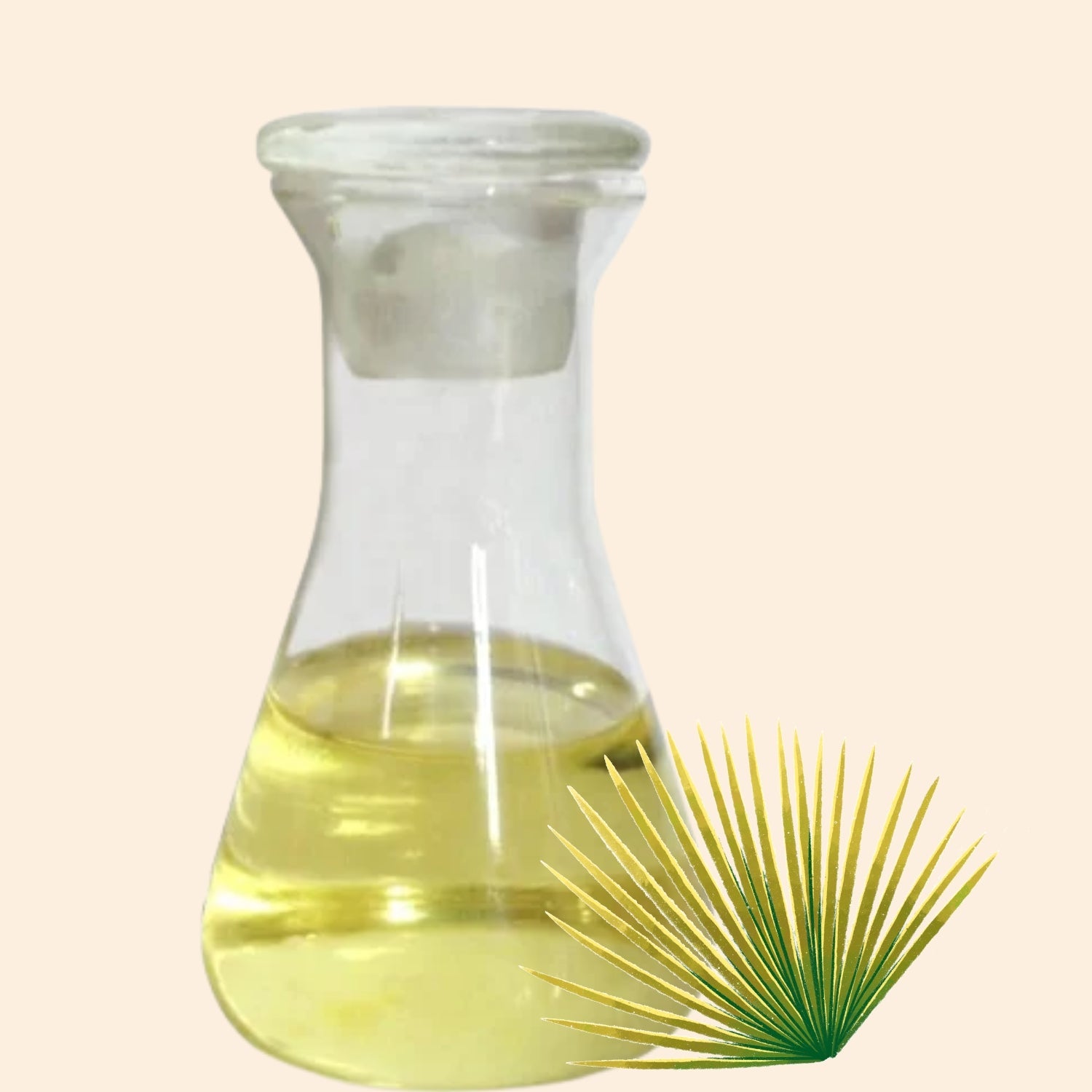 Saw Palmetto Herbal Liquid Extract