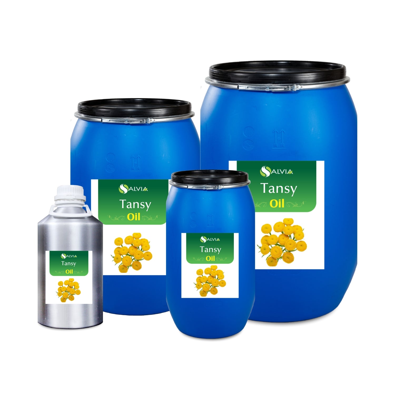 Tansy Essential Oil
