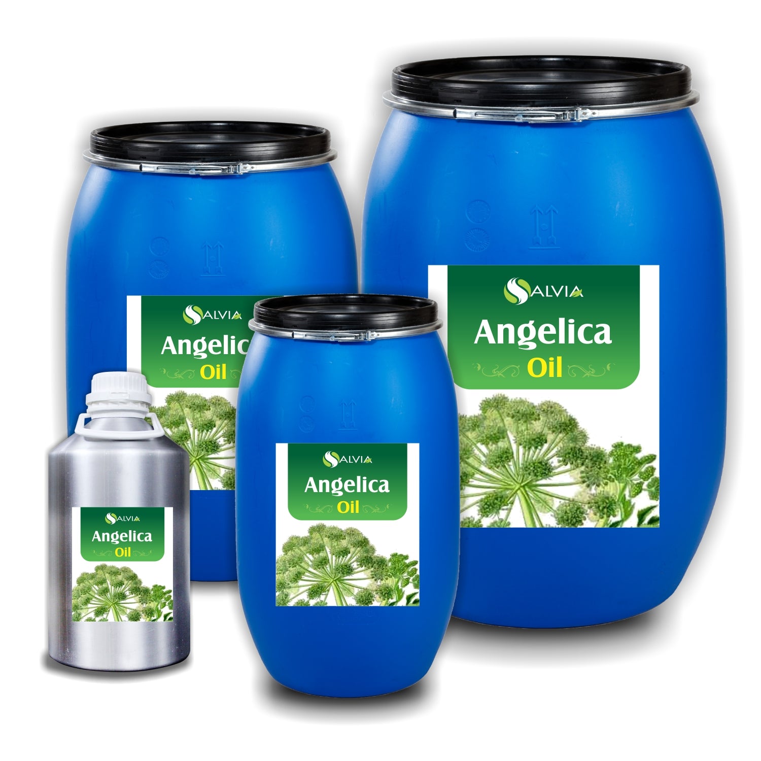 Angelica Esssential Oil