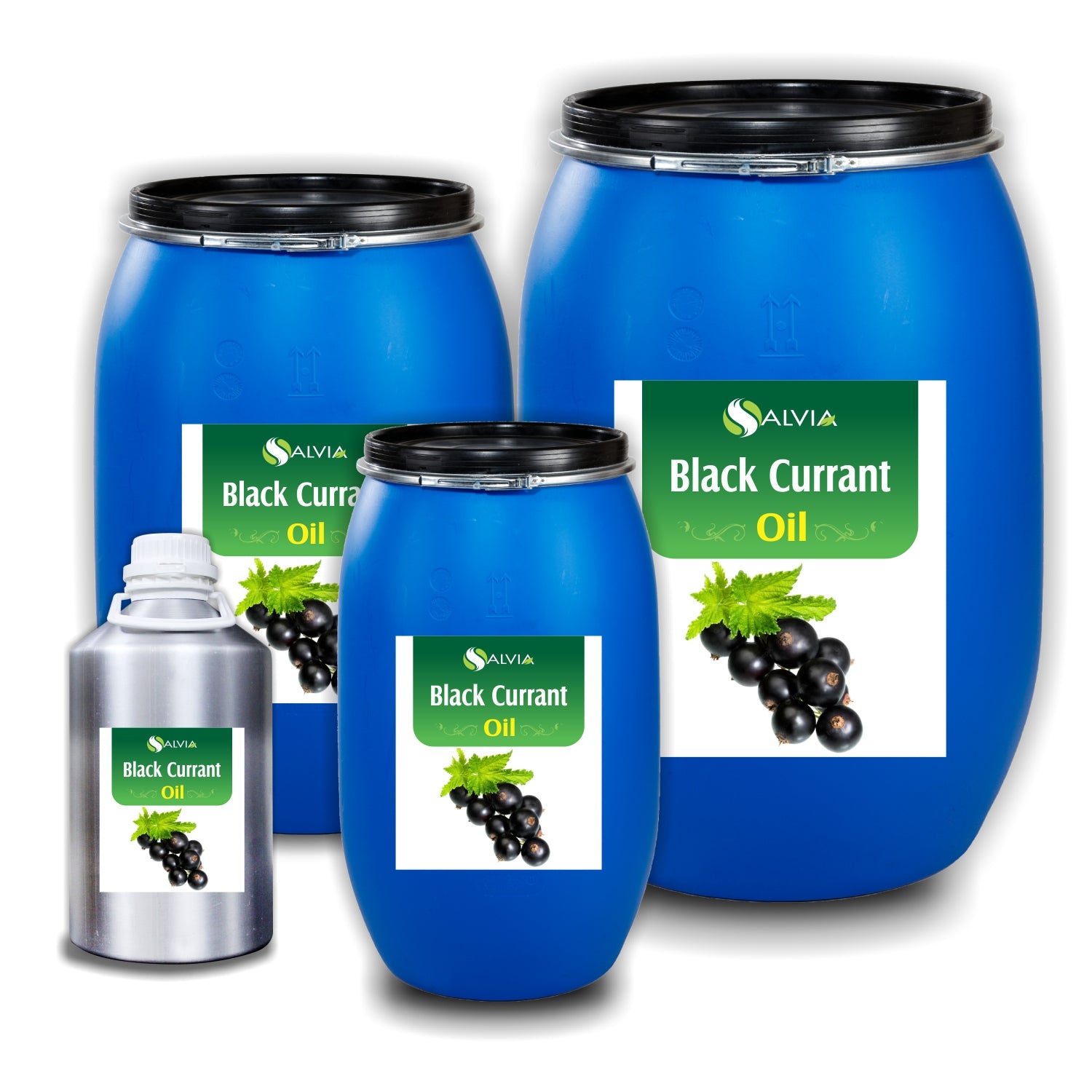 Black Currant Oil