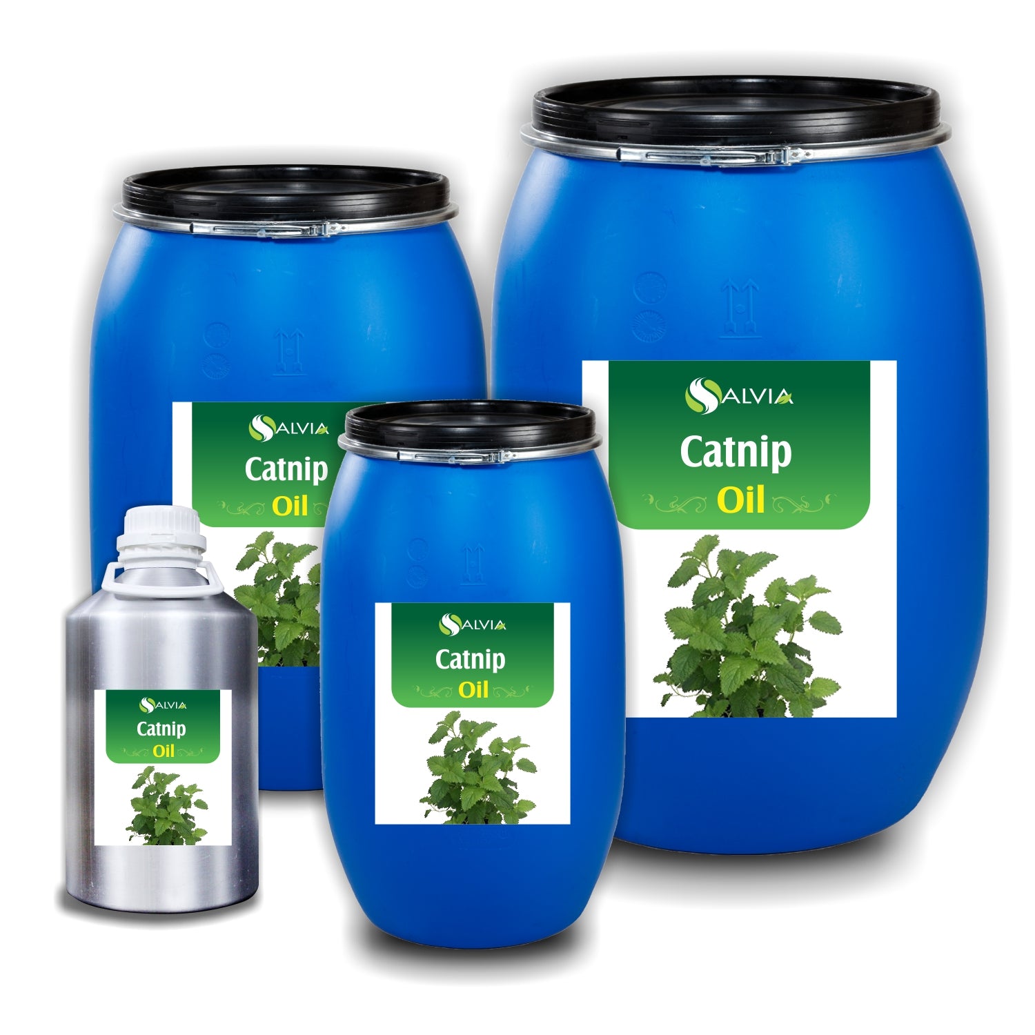 Catnip Essential Oil