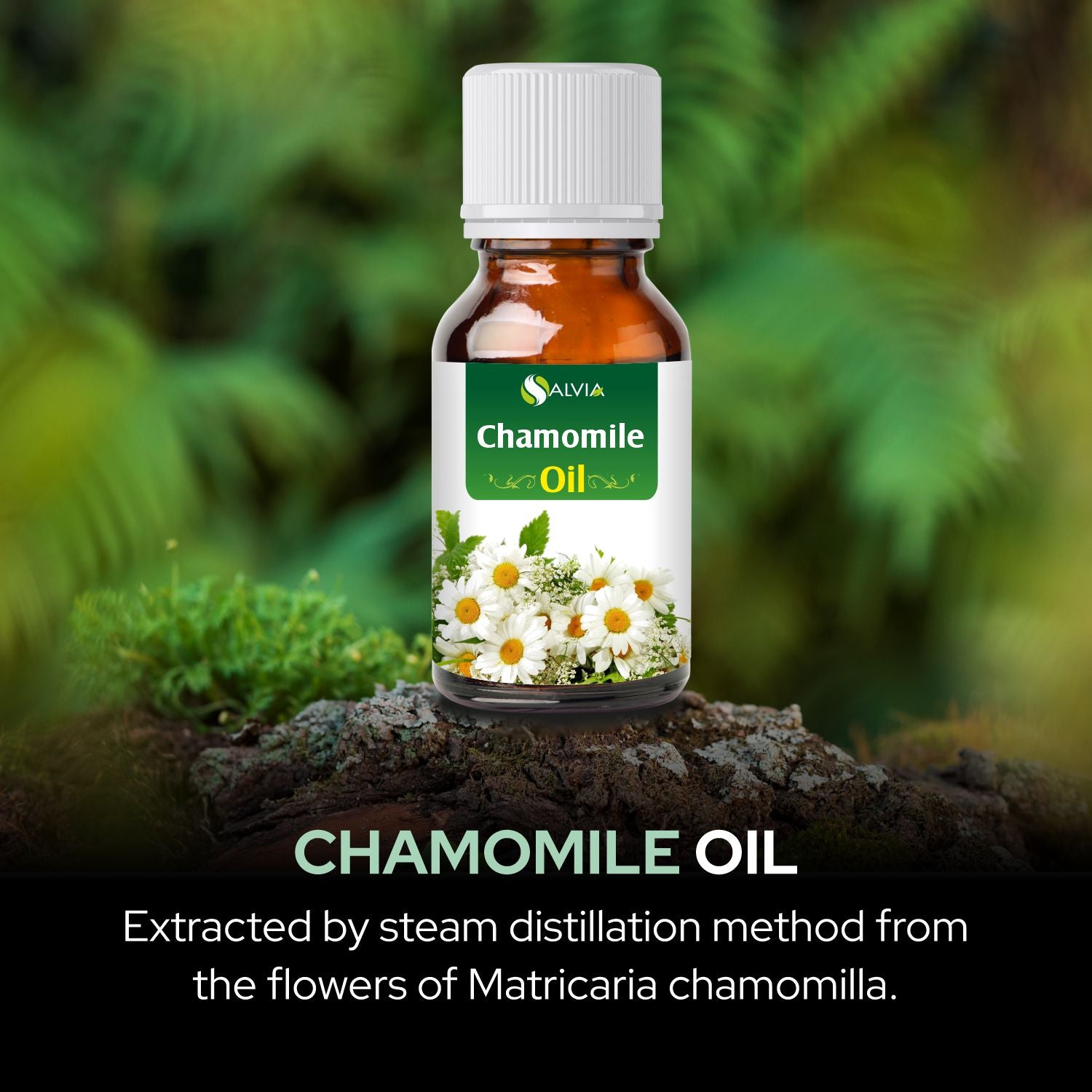 Chamomile Essential Oil