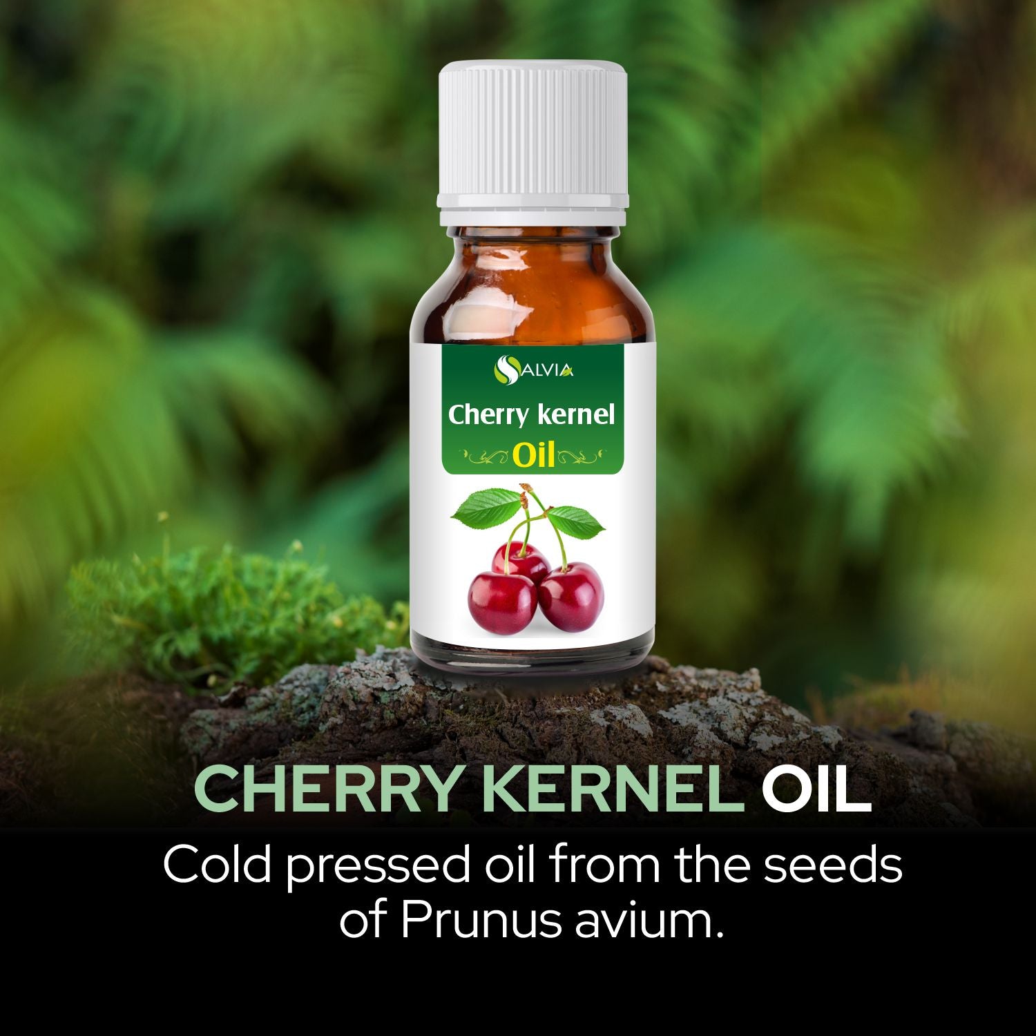 Cherry Kernel Oil