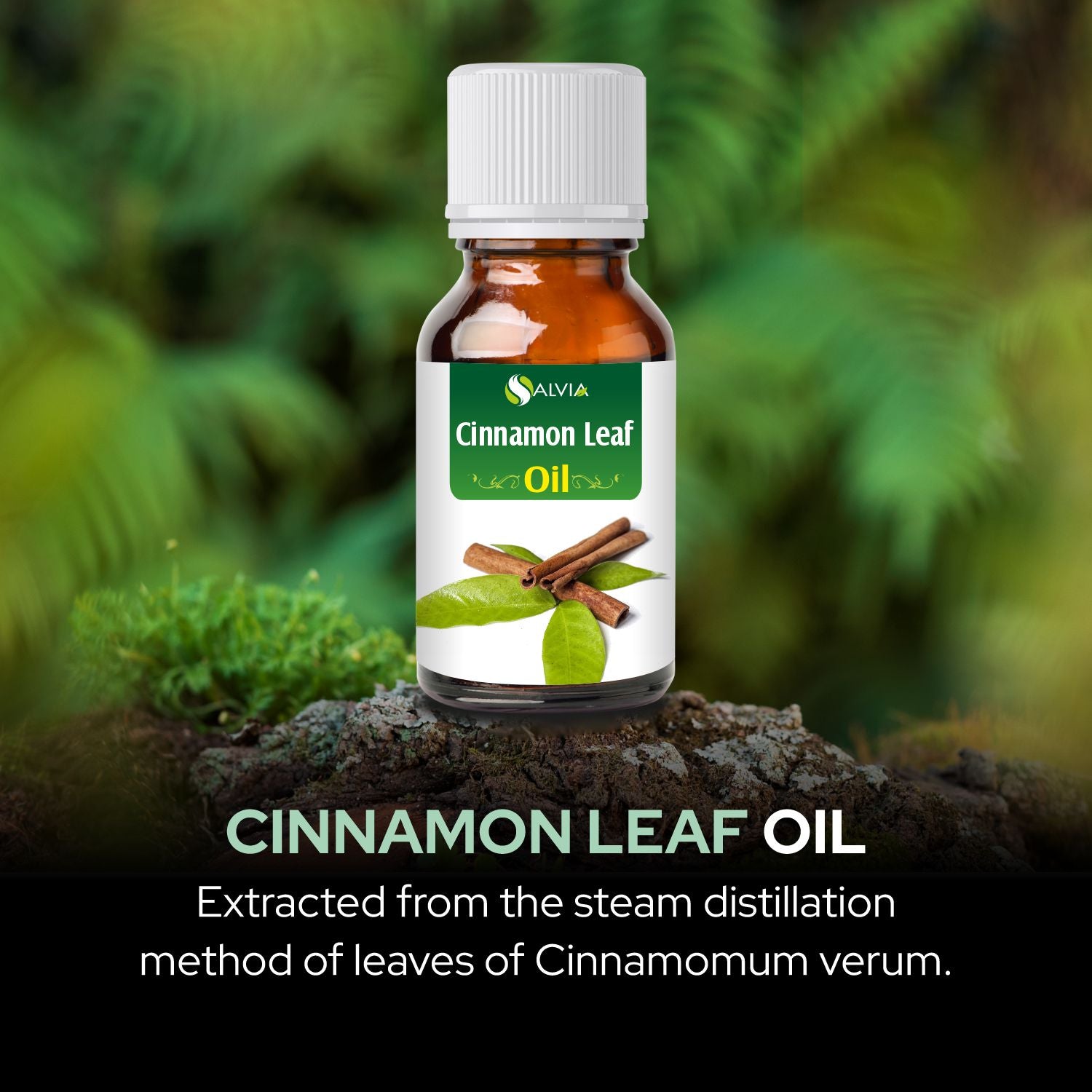 Cinnamon Leaf Essential Oil