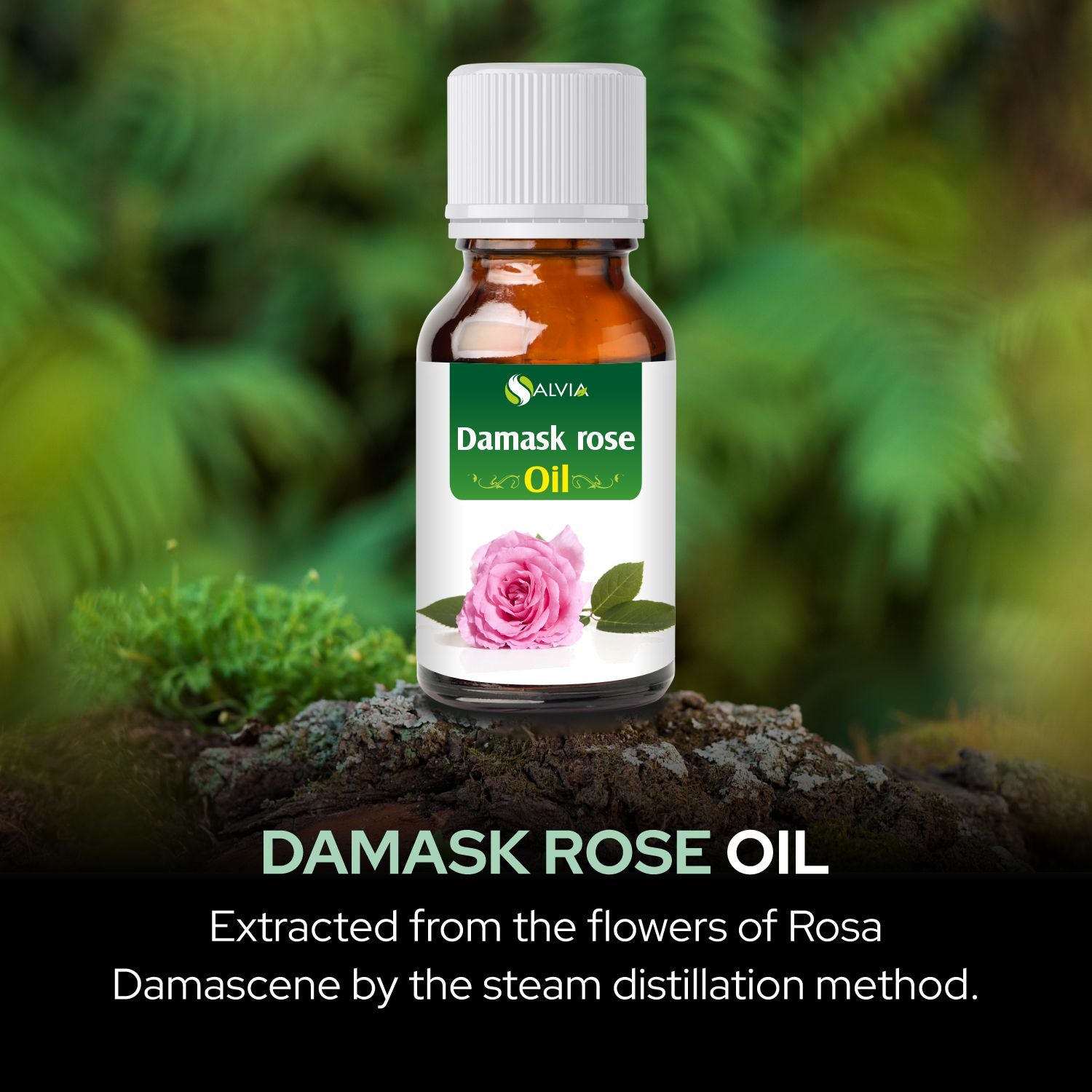Damask Rose Oil
