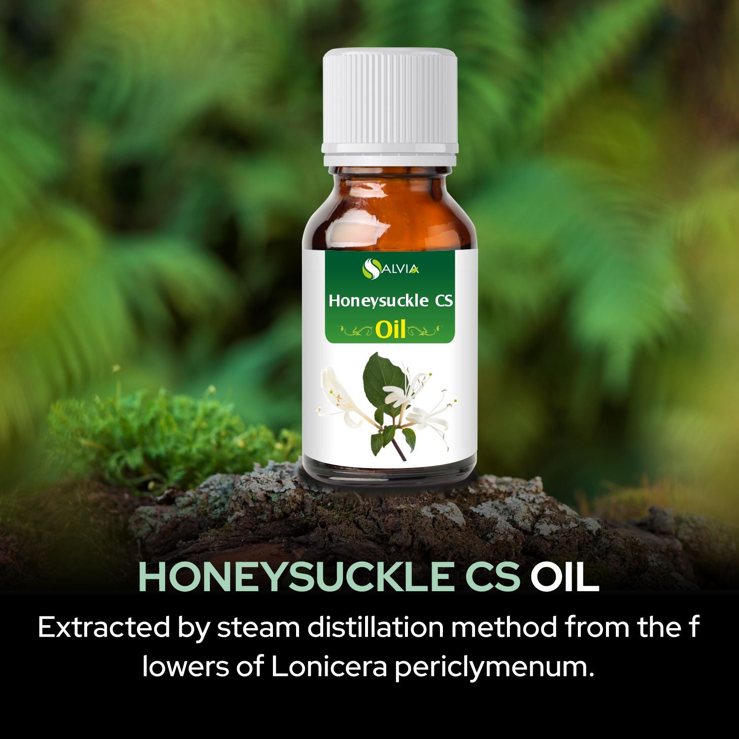 Honey Suckle CS Oil