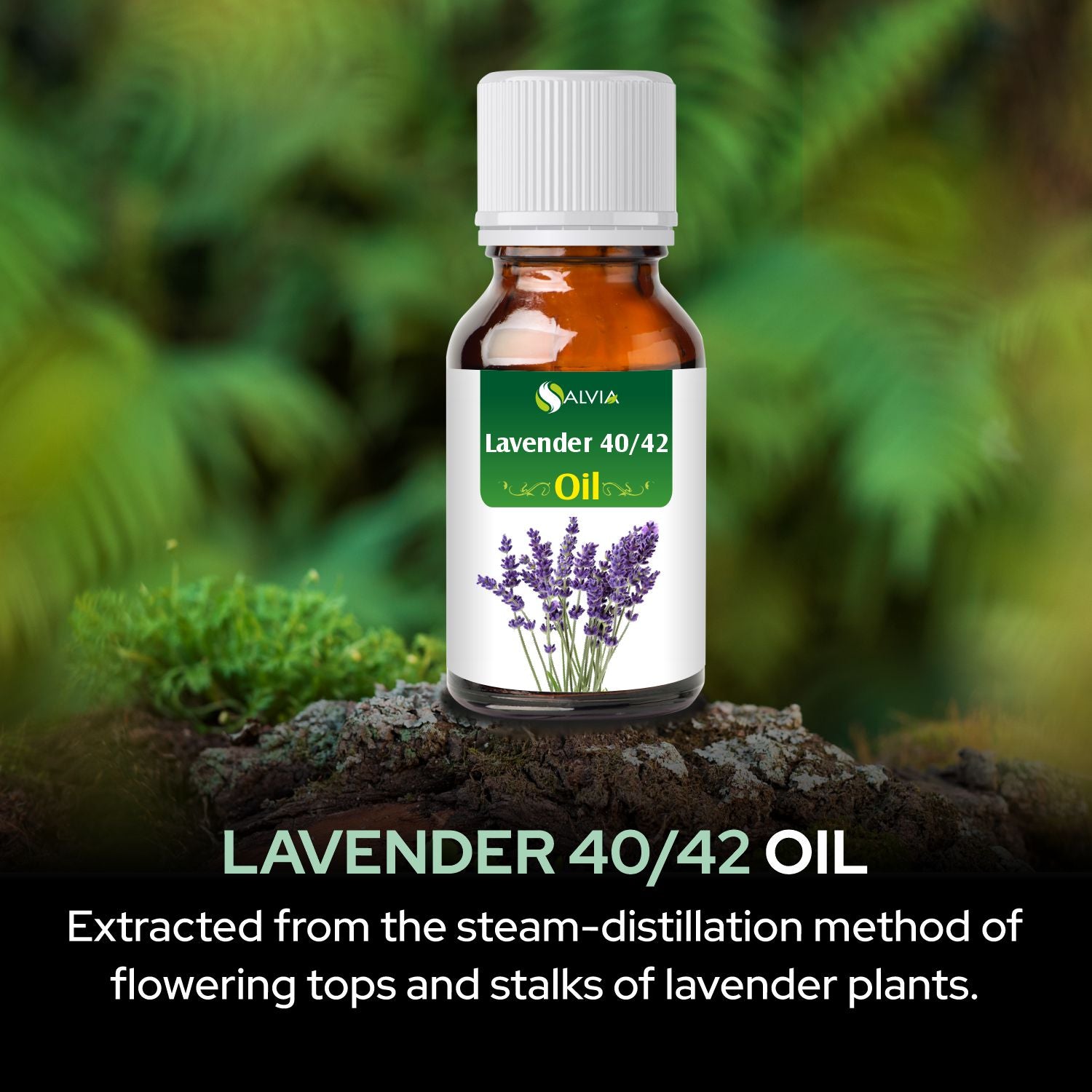 Lavender 40/42 Essential Oil