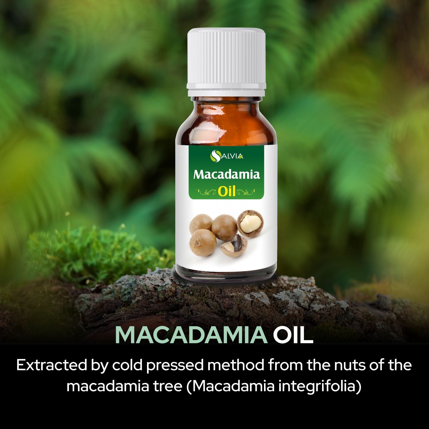 Macadamia Oil