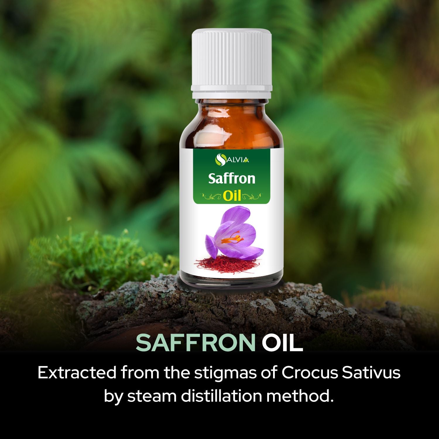 Saffron Oil