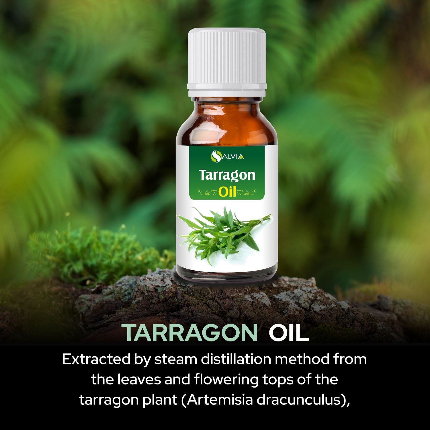 Tarragon Oil