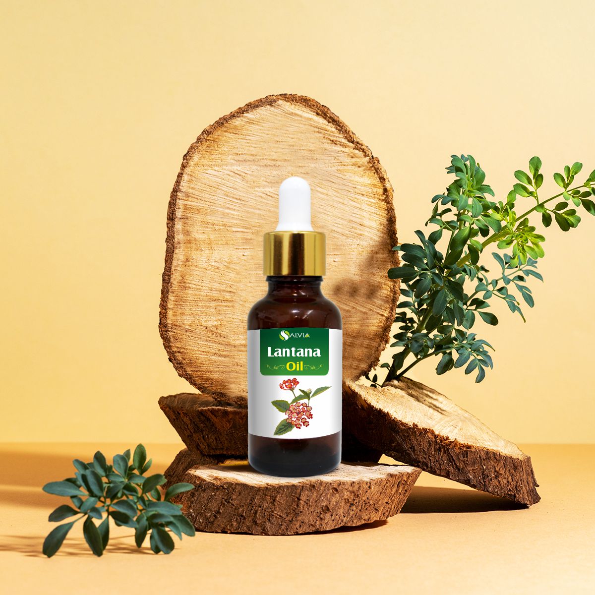 Lantana Essential Oil