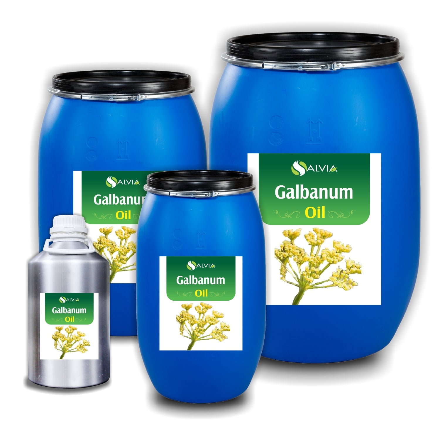 Galbanum Essential Oil